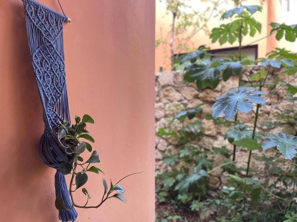 Aldea Savia By Andiani Travel Daire Tulum Dış mekan fotoğraf